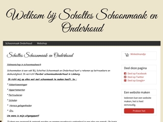 SCHOLTES SCHOONMAAK EN ONDERHOUD