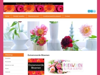 DUIVENVOORDE BLOEMEN VOF