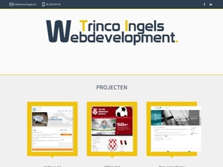 TRINCO INGELS WEBDEVELOPMENT