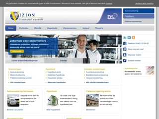 VIZION FINANCIAL CONSULT