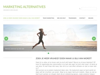 MARKETING ALTERNATIVES