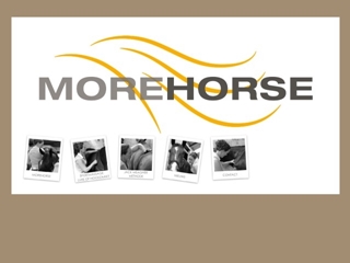 MORE HORSE SPORTMASSAGE VOOR PAARDEN
