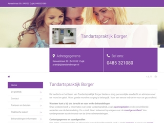TANDARTSENPRAKTIJK BORGER T G