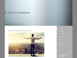 2DIE4 IT SOLUTIONS