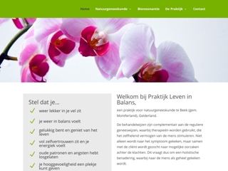 LEVEN IN BALANS