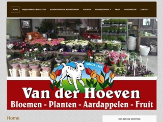 HOEVEN BLOEMEN EN PLANTEN MARCO VAN DER