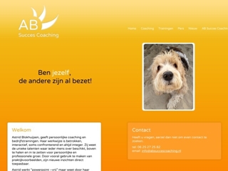 AB SUCCES COACHING