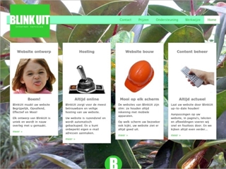 BLINKUIT INTERNET SERVICES