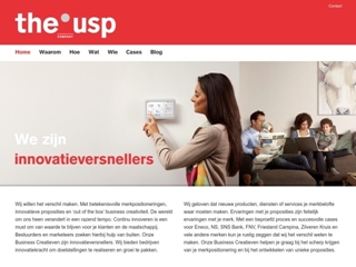 THE USP COMPANY