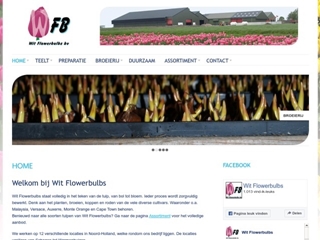WIT FLOWERBULBS BV