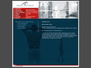 SMALL BUSINESS CONSULTANTS