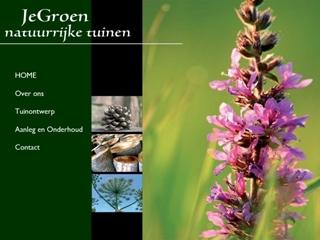 JEGROEN TUINEN