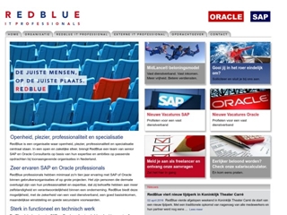 REDBLUE IT PROFESSIONALS BV