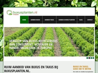 BUXUSKWEKERIJ VAN HEESWIJK