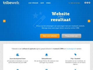 TRIBEWEB ONLINE MARKETING