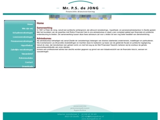 FINANCIELE DIENSTVERLENING MR P S DE JONG