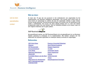 BUNNIK BUSINESS INTELLIGENCE BV