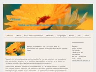 BEELDENDE PSYCHOTHERAPIE CRESCENDO V V J BORGART