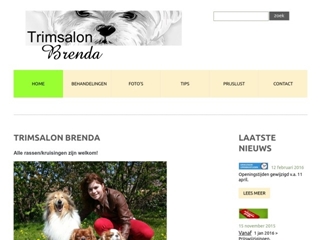 BRENDA TRIMSALON