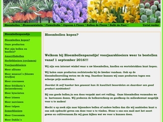 BLOEMBOLLENPARADIJS