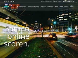 DE ZAKELIJKE WEBSITE