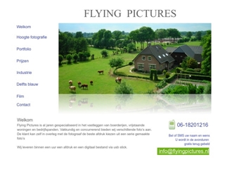 FLYING PICTURES