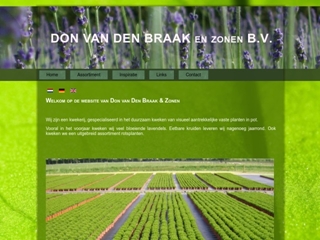 BRAAK & ZN BV EXPORT BOOMKWEKERIJ FA DON VD