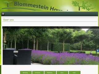 BLOMMESTEIN HOVENIERS