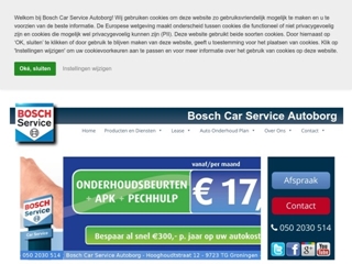 BOSCH CAR SERVICE AUTOBORG