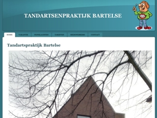 BARTELSE P J