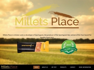 MILLETS PLACE BV