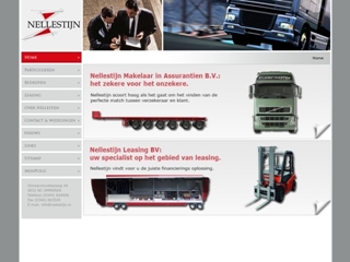 NELLESTIJN MAKELAAR IN ASSURANTIEN BV