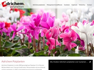 ADRICHEM CYCLAAMKWEKERIJ JAN VAN