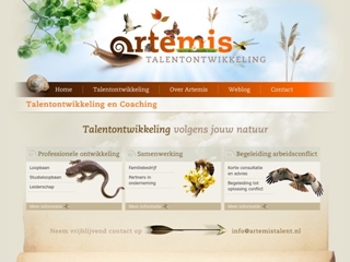 ARTEMIS TALENTONTWIKKELING
