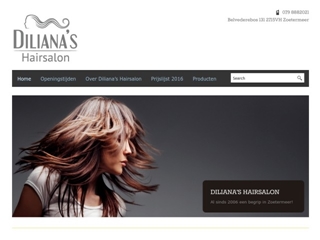 DILIANA'S HAIRSALON