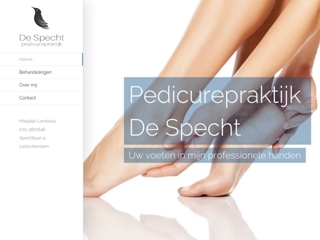 PEDICUREPRAKTIJK DE SPECHT