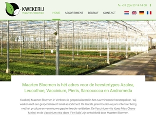 BLOEMEN VOF SIERTEELTKWEKERIJ MAARTEN