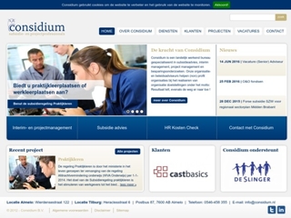 CONSIDIUM SUBSIDIE- EN PROJECTPROFESSIONALS
