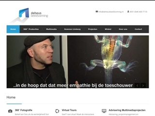HEUS BEELDVORMING DE