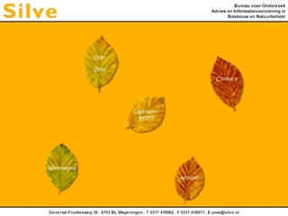 SILVE ADVIESBUREAU