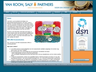 ROON SALY & PARTNERS VAN