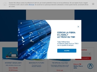 TELECOM ITALIA (NETHERLANDS) BV