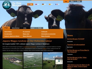 DE DRIE MORGEN