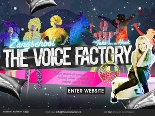 THE VOICE FACTORY