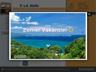 ASSURANTIEKANTOOR WALLE P VD
