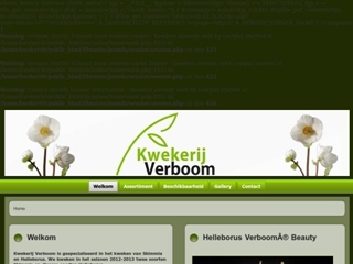 VERBOOM BV KWEKERIJ
