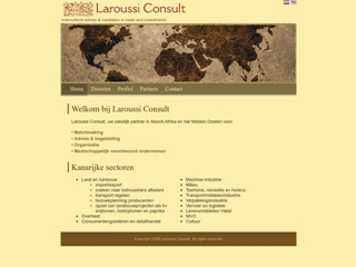LAROUSSI CONSULT