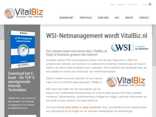 WSI NETMANAGEMENT