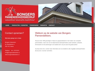 BONGERS PANNENDEKKERS