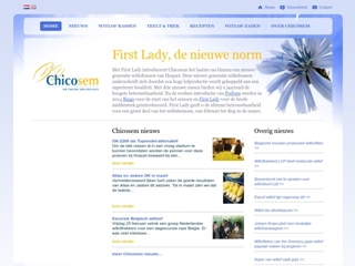 CHICOSEM BV